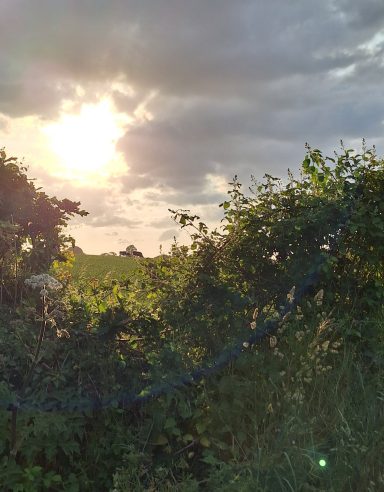 Sunlight peeking through clouds over lush greenery.