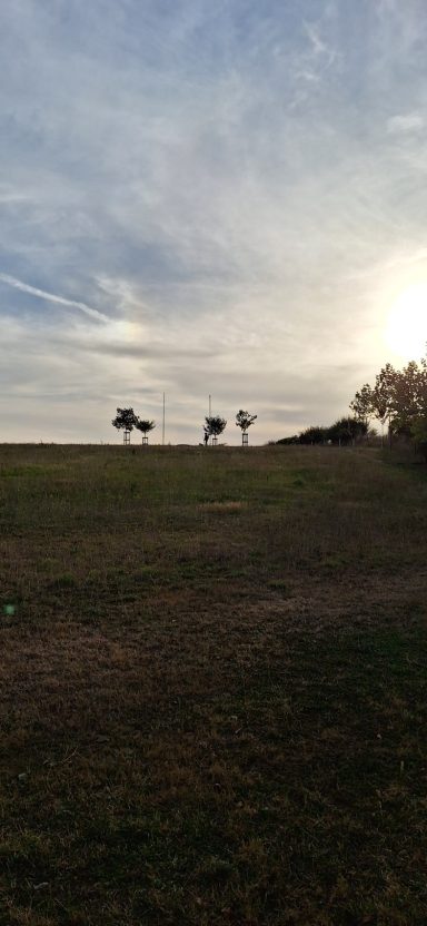 A grassy hill under a cloudy sky with three silhouetted trees in the distance.